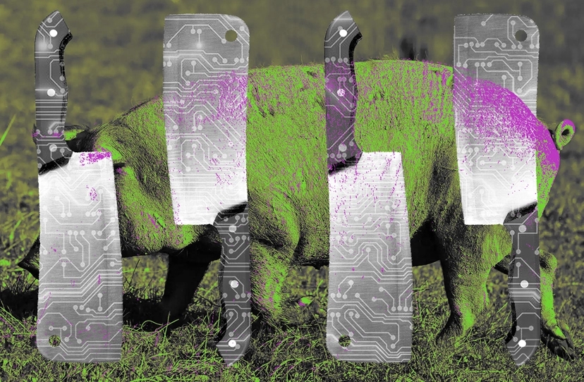 Tether reveals scale of crypto romance scams by freezing $225m in stolen USDT 