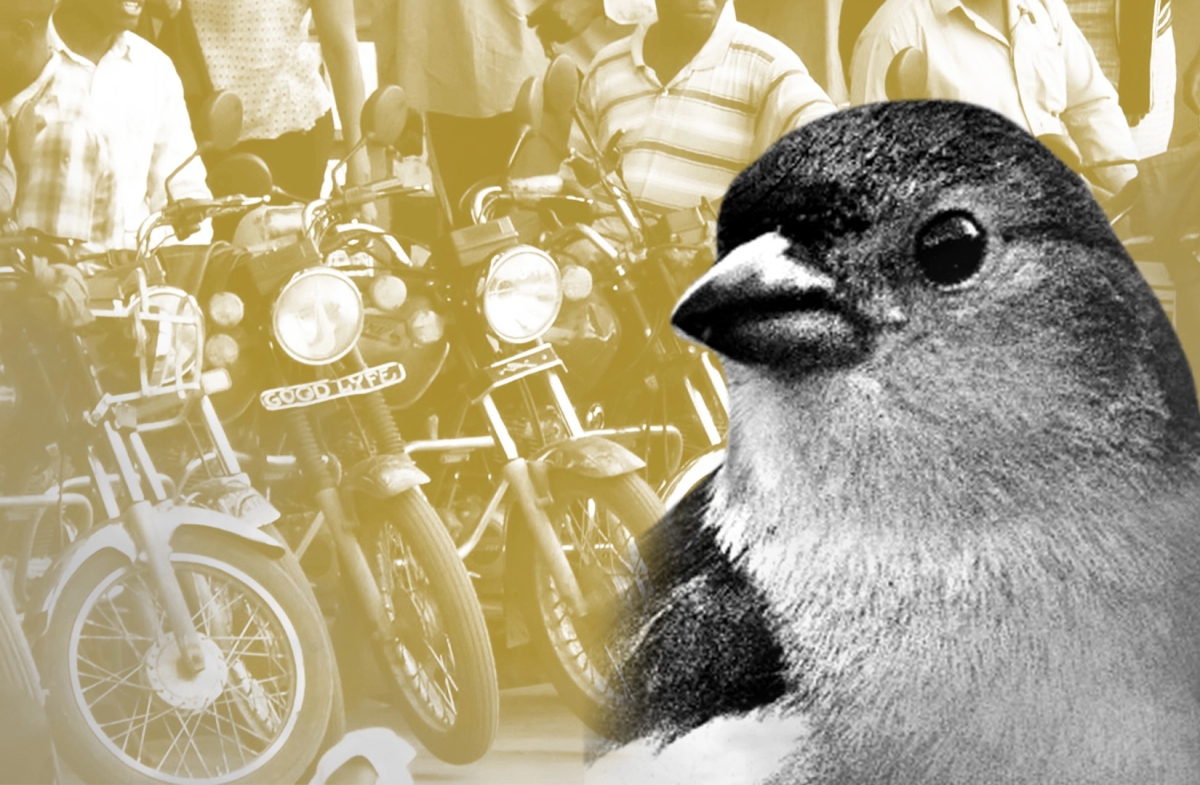 Crypto lender Goldfinch faces bumpy road after motorbike company defaults on $5m loan