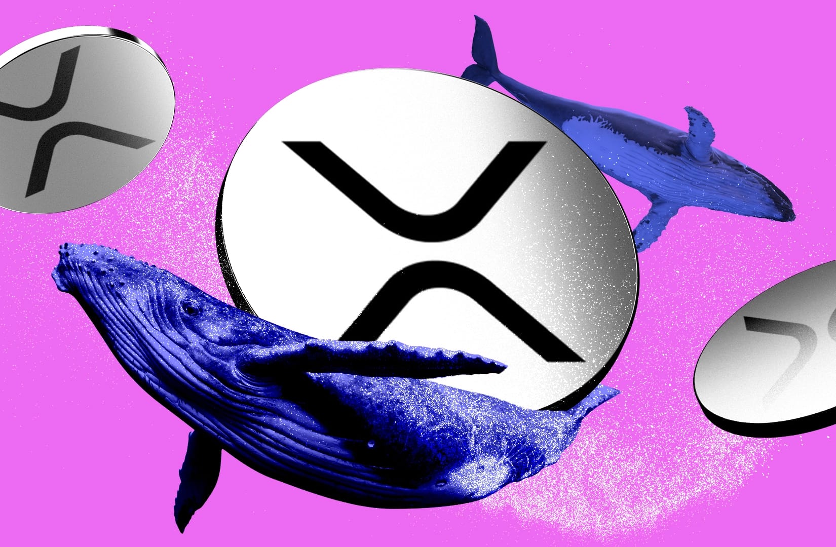 XRP whales splash $464m
