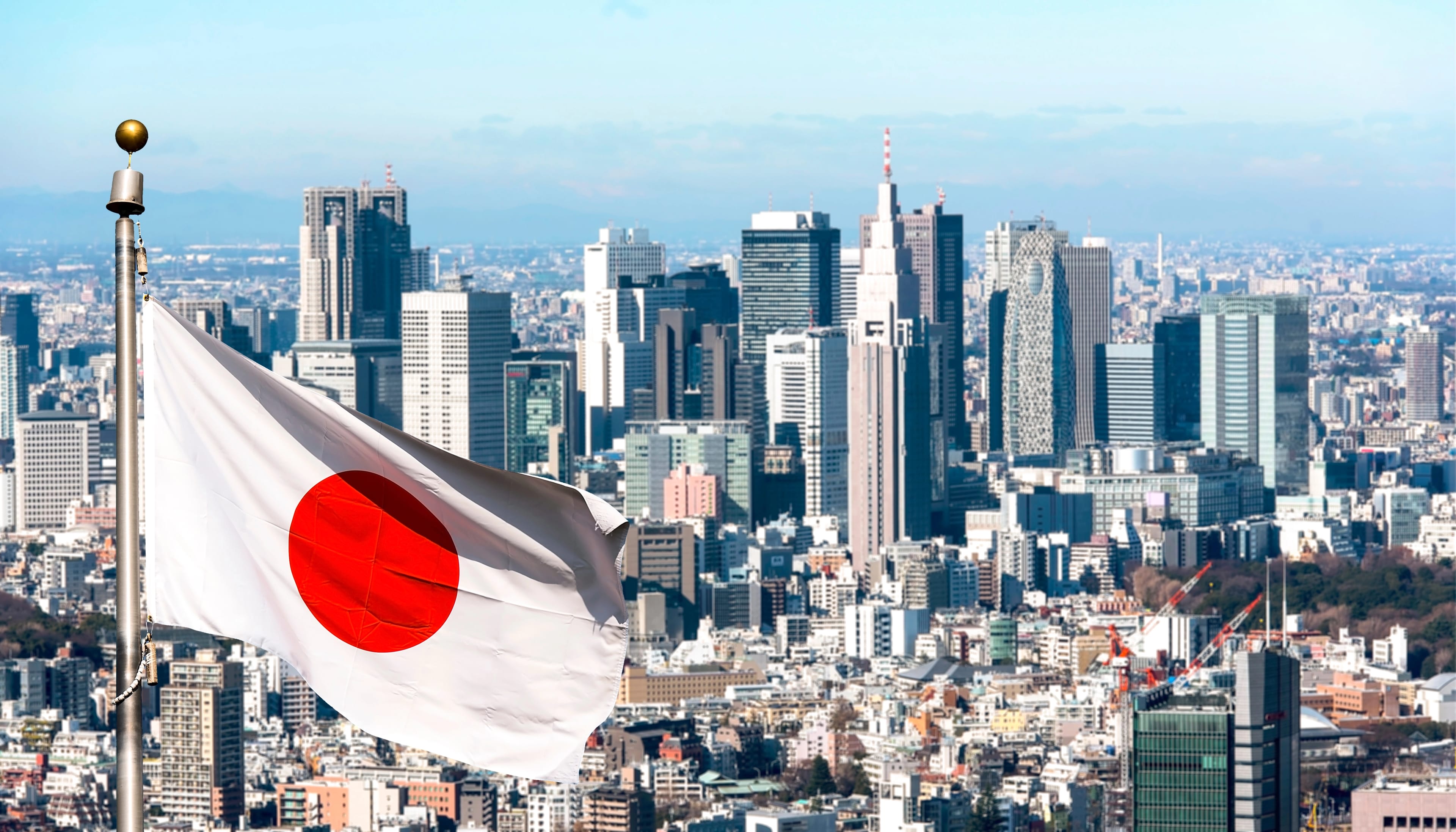 Panoramic,View,Of,Tokyo,And,Japanese,Flag,,Japan