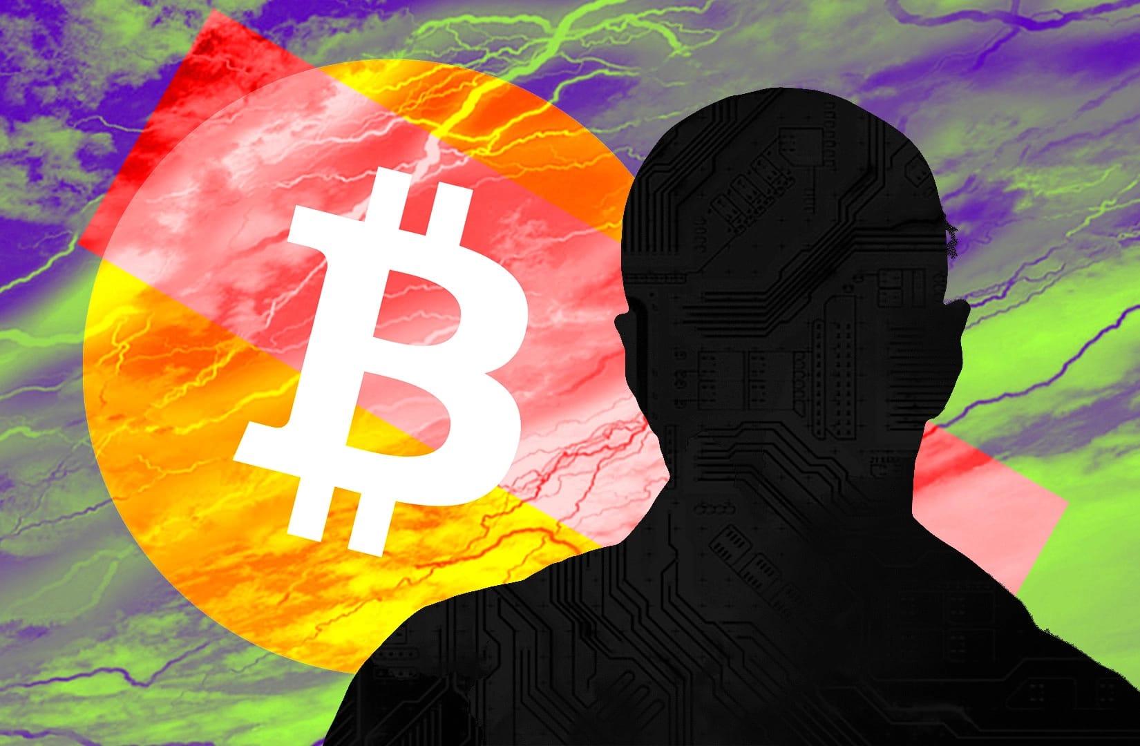 Bitcoin logo crossed out