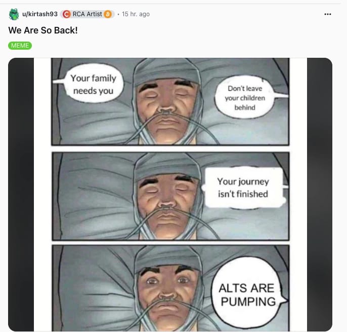 Redditors make fun of the new bull run.